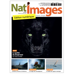 Nat'Images numérique 76