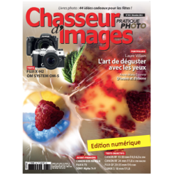 Chasseur d'Images Numérique-444