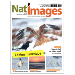 Nat'Images numérique 77