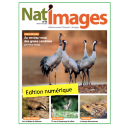 Nat'Images numérique 78