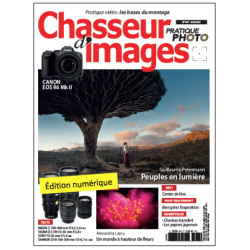 Chasseur d'Images Numérique-447