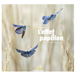 L'EFFET PAPILLON