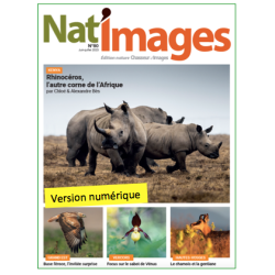 Nat'Images numérique 80