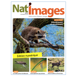 Nat'Images numérique 81