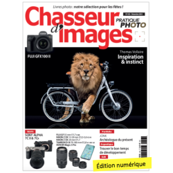 Chasseur d'Images Numérique-453