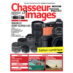 Chasseur d'Images Numérique-455