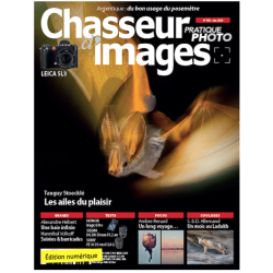 Chasseur d'Images...