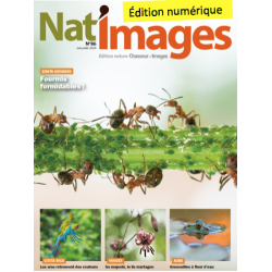 Nat'Images numérique 86