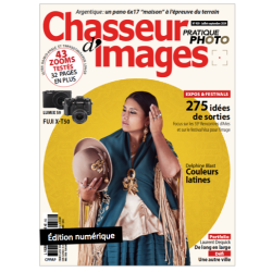 Chasseur d'Images Numérique-459