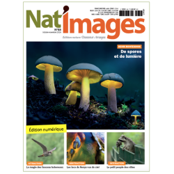 Nat'Images numérique 88