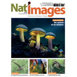 NAT'IMAGES 88 - OCTOBRE-NOVEMBRE 2024