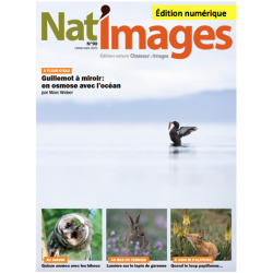 Nat'Images numérique 90