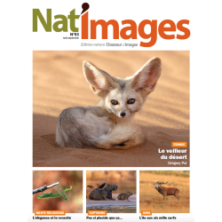 Nat'Images numérique 93