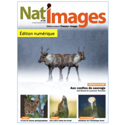 Nat'Images numérique 94