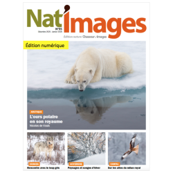 Nat'Images numérique 95