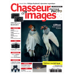 Chasseur d'Images...