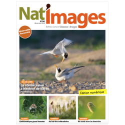 Nat'Images numérique 96