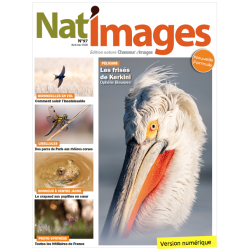 Nat'Images numérique 97