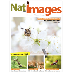 Nat'Images numérique 98
