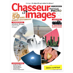 Chasseur d'Images...