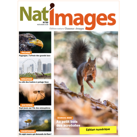 Nat'Images numérique 99