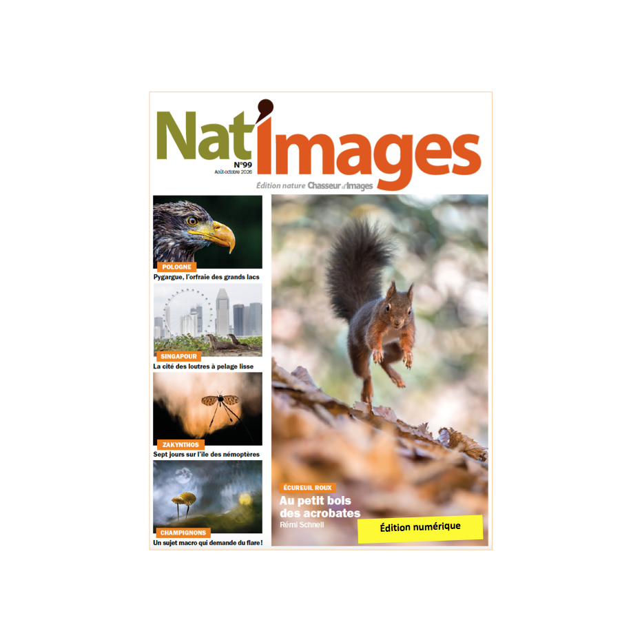 Nat'Images numérique 99