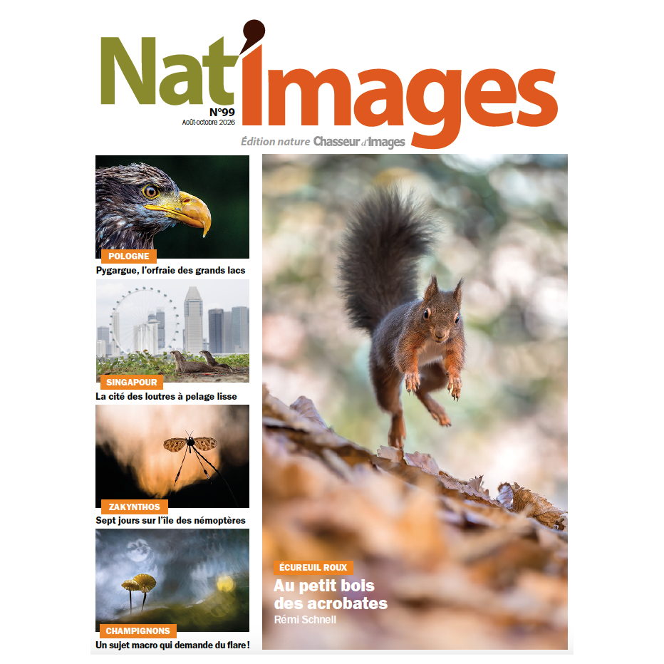 NAT'IMAGES 99 - AOUT-OCT 2026
